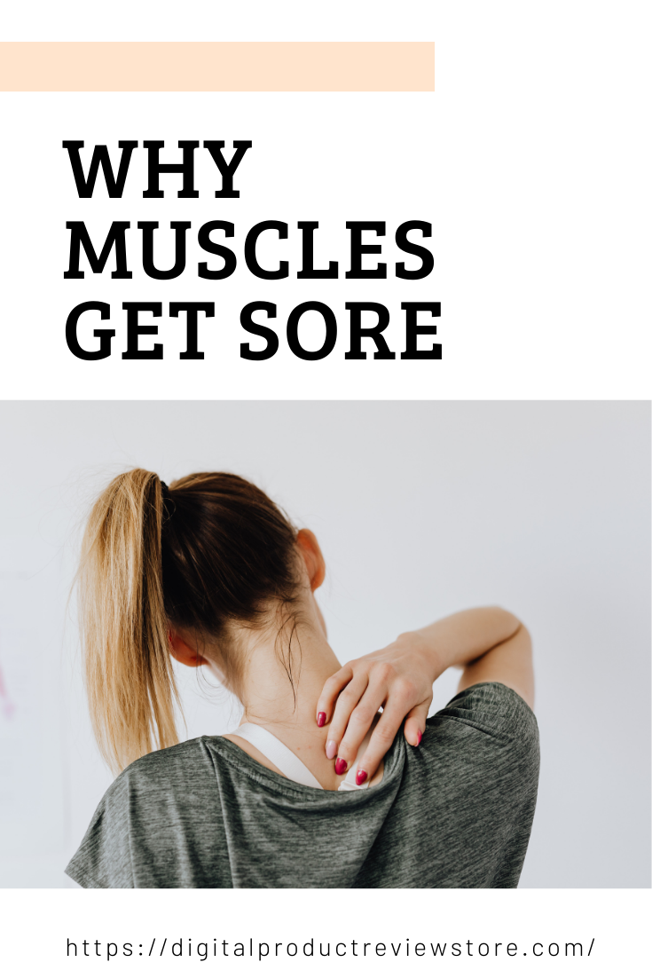 Why Muscles Get Sore